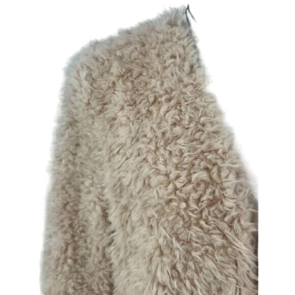 Forever 21 Faux Fur Shearling Teddy Bear Coat | Mob Wife Sciura Style Penny Lane - Picture 3 of 11